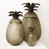 Glass Pineapple Jar Smoke